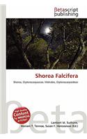 Shorea Falcifera: (English)