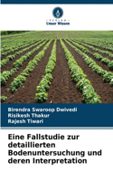 Eine Fallstudie zur detaillierten Bodenuntersuchung und deren Interpretation