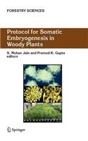 Protocol for Somatic Embryogenesis in Woody Plants