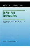 In Situ Soil Remediation