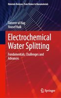Electrochemical Water Splitting