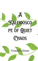 Kaleidoscope of Quiet Chaos