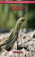 Lizard: Fun Facts and Amazing Photos