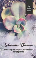 Echeveria 'Chroma': Unlocking the Magic of Desert Plants, For Beginners