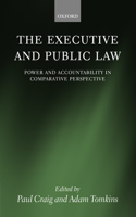 Executive and Public Law