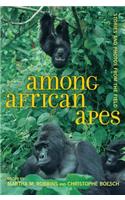 Among African Apes