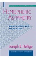 Hemispheric Asymmetry
