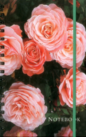Notebook Rose: 128 Page Fine Line Notebook