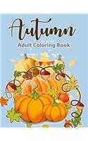 Adult Coloring Book