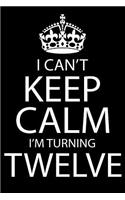 I Am Turning Twelve: Blank Lined Journal, Funny Happy Birthday Sketchbook, Notebook, Diary Perfect Gift For 12 Year Old Boys And Girls