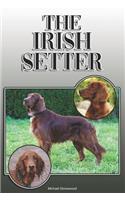 Irish Setter: A Complete and Comprehensive Owners Guide To: Buying, Owning, Health, Grooming, Training, Obedience, Understanding and Caring for Your Irish Setter