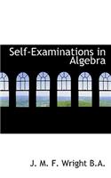 Self-Examinations in Algebra