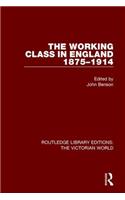 The Working Class in England 1875-1914