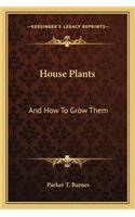 House Plants