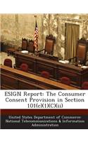 Esign Report