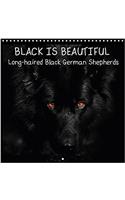 Black is Beautiful Long-Haired Black German Shepherds 2017