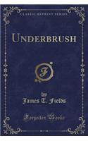 Underbrush (Classic Reprint)