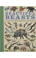 Beautiful Beasts: A Collection of Creatures Past and Present