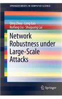 Network Robustness Under Large-Scale Attacks