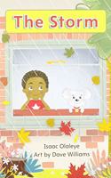 Myview Literacy 2020 Leveled Reader Grade K: The Storm