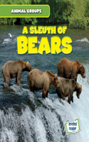 Sleuth of Bears