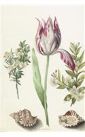 Tulip, Two Myrtle Branches, and Two Shells Art Journal