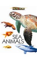 Sea Animals