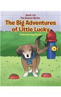 Big Adventures of Little Lucky