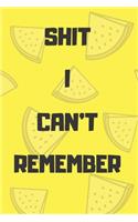 Shit I Can't Remember