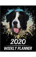 2020 Weekly Planner: Weekly & Monthly 2020 Planner Jan 1 2020 to Dec 31 2020 With Calendar Views, 1 Year Planner + Important Holiday Dates, St Bernard Dog Cover