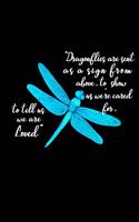 Dragonflies are sent as a sign from above to show us we are cared for to tell us we are loved