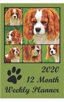 2020 12 Month Weekly Planner