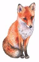 Notebook: for fox lovers