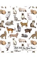 2020-2021 Two Year Planner: Pretty Purebred Cats Cover on a Weekly Monthly Planner Organizer. Perfect 2 Year Motivational Planner, Agenda, Schedule with Vision Board, Habit Tra(1 Cat Lovers 2 Year Planner)