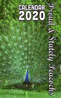 Proud and Stately Peacocks Calendar 2020: 14 Month Desk Calendar for People Who Love These Colorful and Exotic Birds