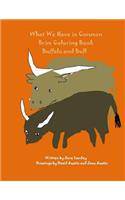 Buffalo and Bull: Brim Coloring Book