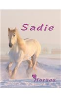 Horses Sadie: Horse Lovers Personalized Name Composition Notebook, Journal, Notebook Diary That Allows You to Be Creative with Our Write and Draw Interior for Men