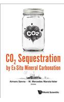 Co2 Sequestration by Ex-Situ Mineral Carbonation