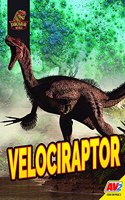 Velociraptor: (Dinosaur World)