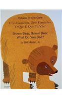 Brown bear, brown bear