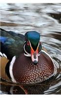 Waterfowl Notebook