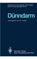 Dunndarm A