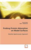 Probing Protein Adsorption on Model Surfaces