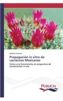 Propagación in vitro de cactáceas Mexicanas