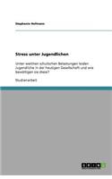 Stress unter Jugendlichen: Unter welchen schulischen Belastungen leiden Jugendliche in der heutigen Gesellschaft und wie bewältigen sie diese?(German)