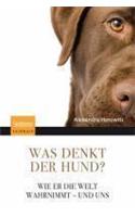 Was denkt der Hund?