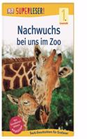 Superleser - Nachwuchs bei uns im Zoo