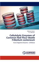 Cellulolytic Enzymes of Common Red Flour Beetle >i