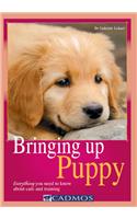 Bringing Up Puppy: Everything You Need to Know about Care and Training
