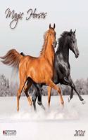 MAGIC HORSES 2021